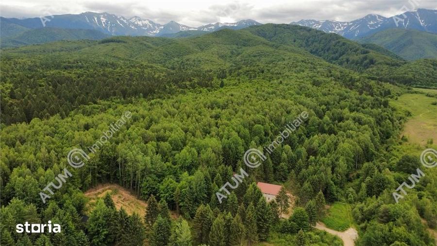 Teren de 3000 mp, în Porumbacu de Jos