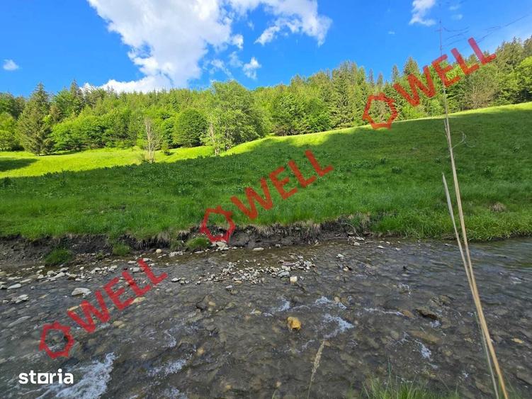Teren de 57000 mp, în Vama Buzăului