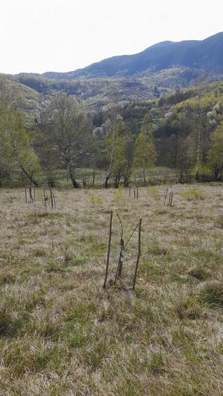 Teren de 14000 mp, în Central