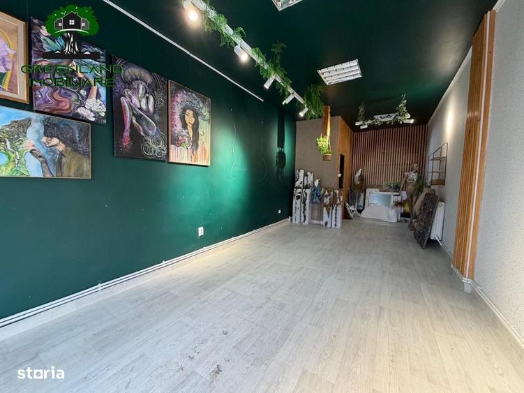 Casă cu 4 camere în Tătărași