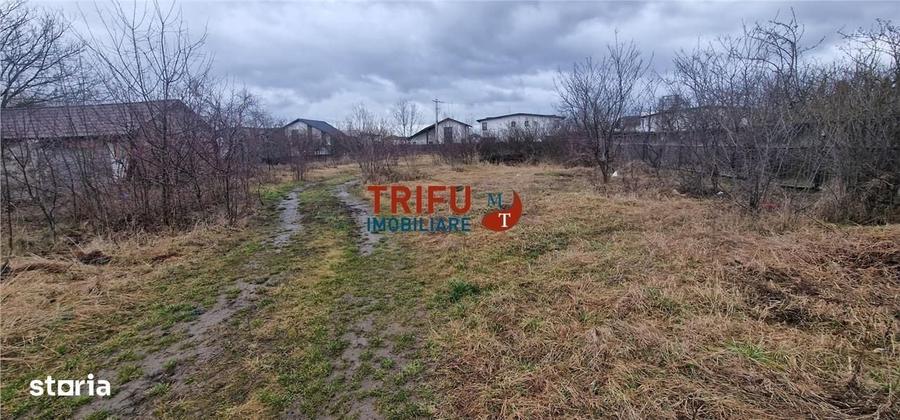Spațiu comercial, în Cetate