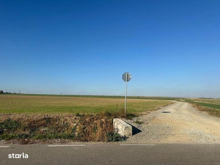 Teren de 11500 mp, în Nojorid