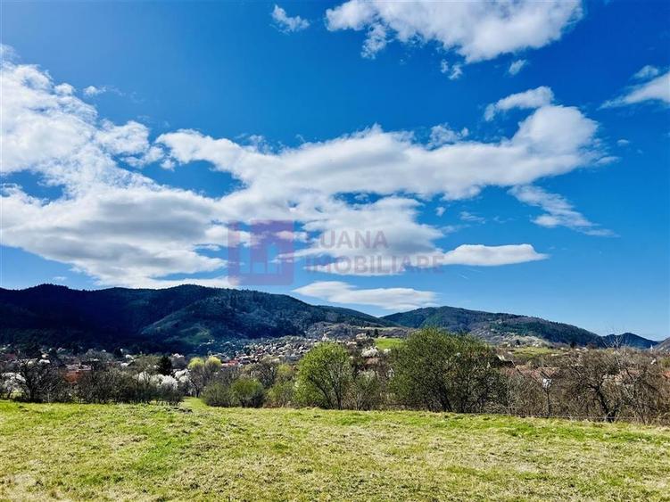 Teren Construcții intravilan de 3240 mp, în Vale