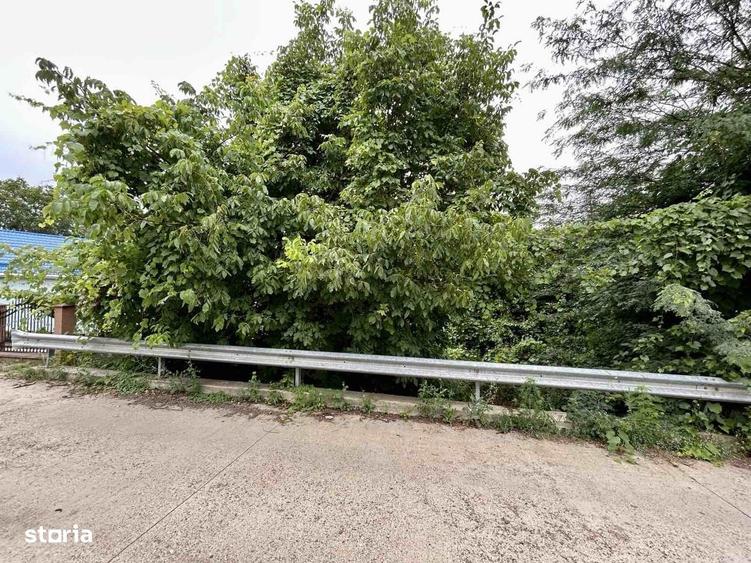 Teren intravilan Iasi 1.561 mp Bucium Plopii fara Sot la 2 drumuri - 5