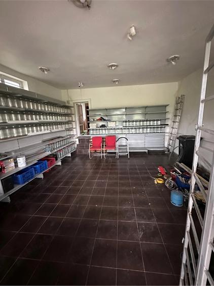 Casă cu 3 camere cu Teren 4000 Mp în Mihăești
