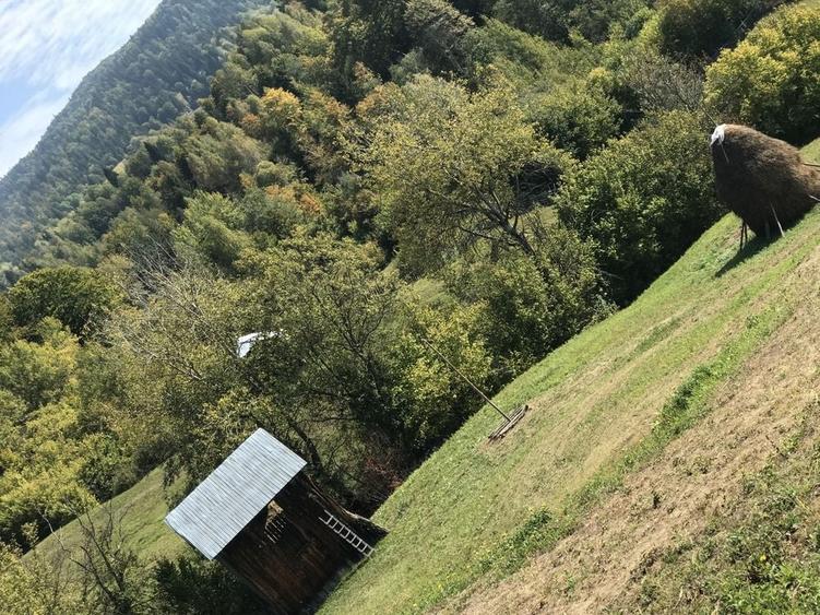 Casa / proprietate de vanzare Hangu Neamt - 5
