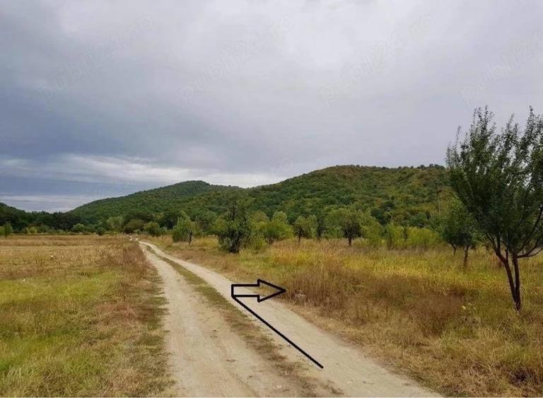 Teren de 2500 mp, în Balotești