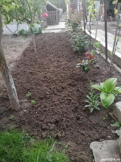 Casă cu 4 camere cu Teren 390 Mp în Medgidia