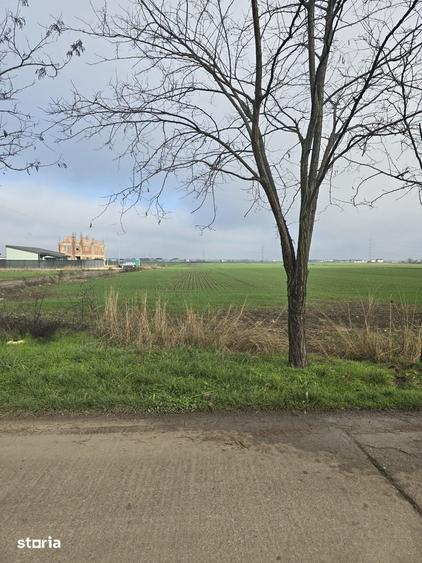 teren in Vidra Dealul Verde -Utilitati in apropiere - 3