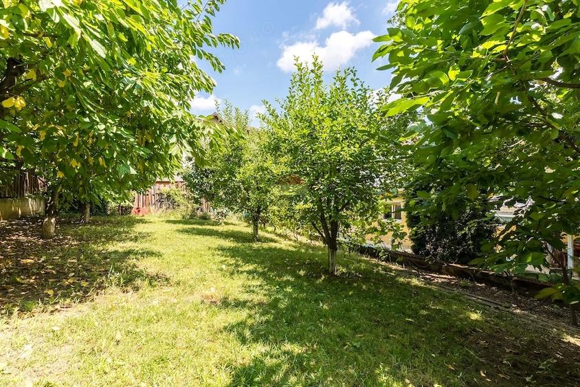 Casă cu 5 camere cu Teren 869 Mp în Bucium