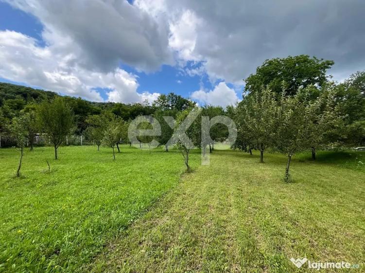 Casă cu 4 camere cu Teren 3400 Mp în Pucioasa-Sat