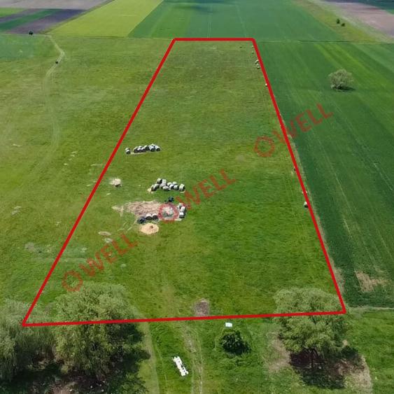 Teren agricol extravilan de 18500 mp, în Ilieni