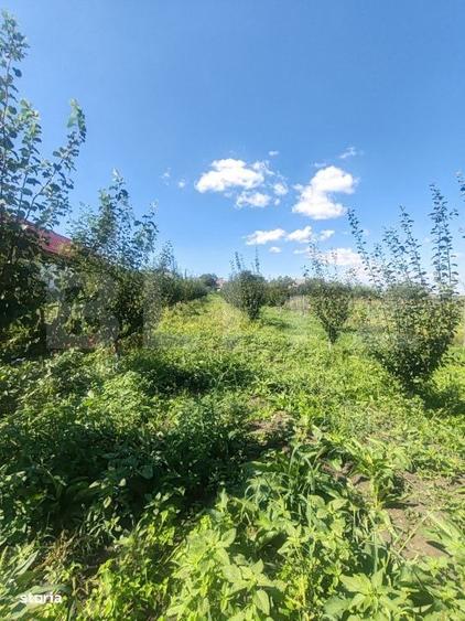 Casă cu 1 camere în Mihăiești