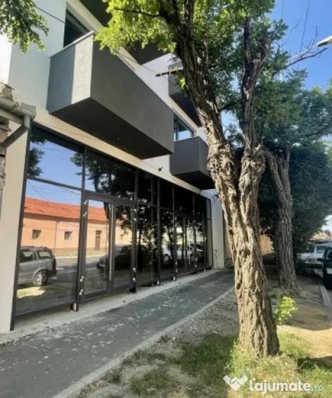 Spațiu comercial, de 500 mp, în Sud