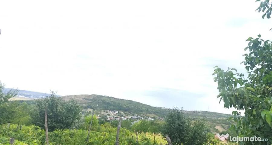 Teren în Uricani