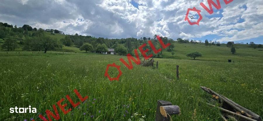 Teren de 3200 mp, în Barcani
