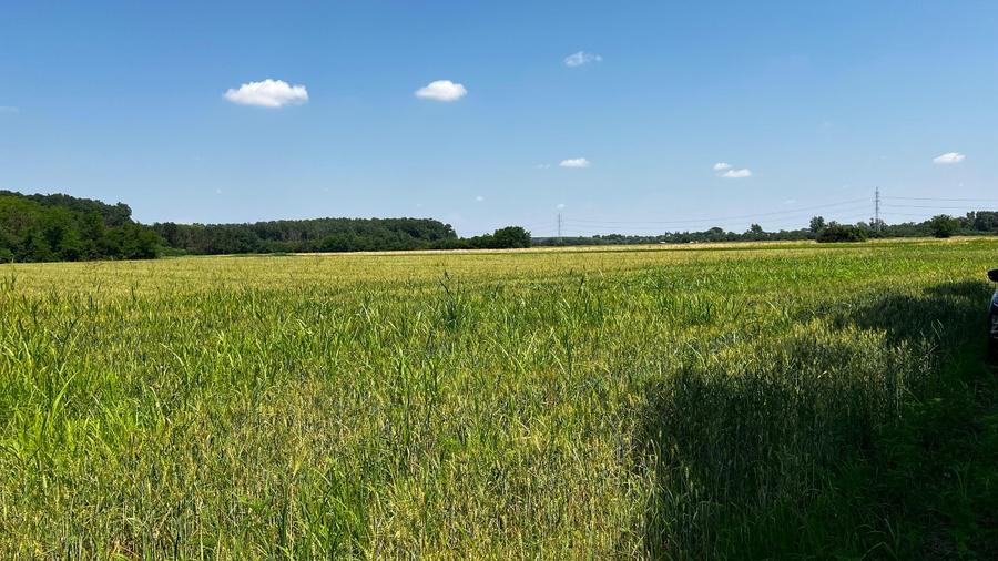 Teren Construcții intravilan de 4800 mp, în Jilava