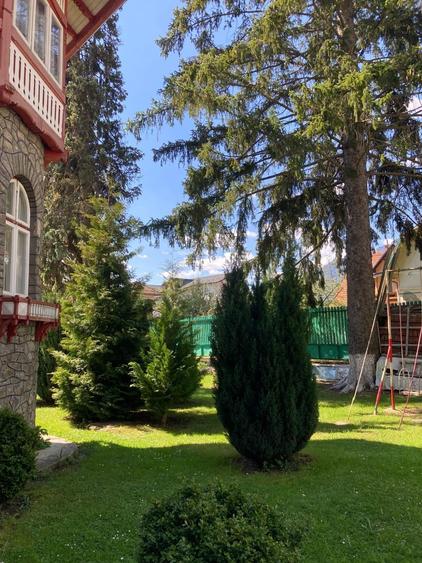 Casă cu 12 camere cu Canalizare în Bușteni