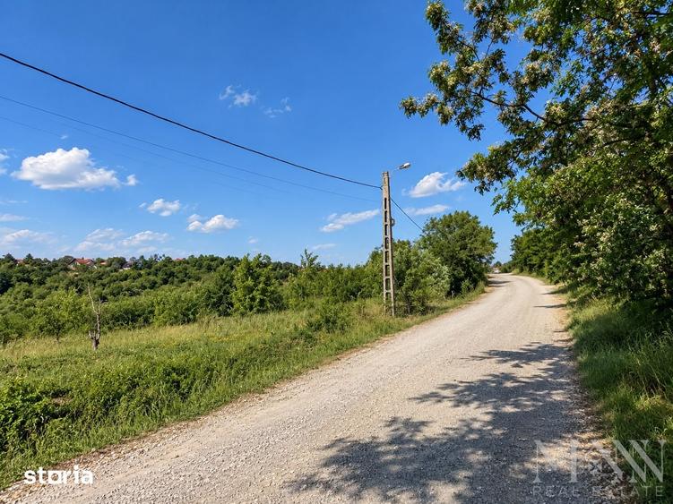 Teren de 3245 mp, în Dealuri Oradea