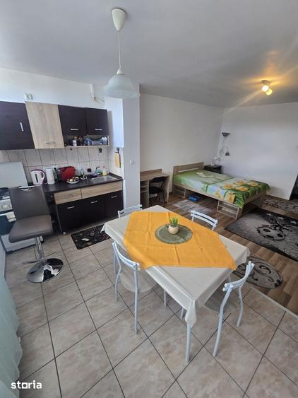 Apartament 1 camera strada Bucegi Cartierul Mana?tur - 4
