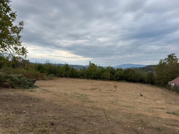 Teren de 1000 mp, în Goranu