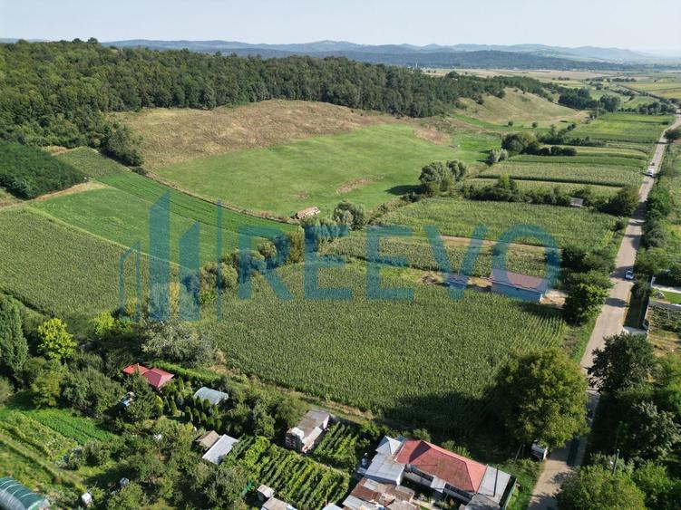 Teren Construcții intravilan de 3500 mp, în Bogdănești (Traian)