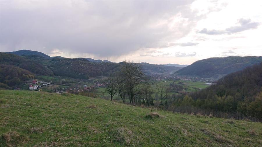Teren Construcții intravilan de 69237 mp, în Crișcior