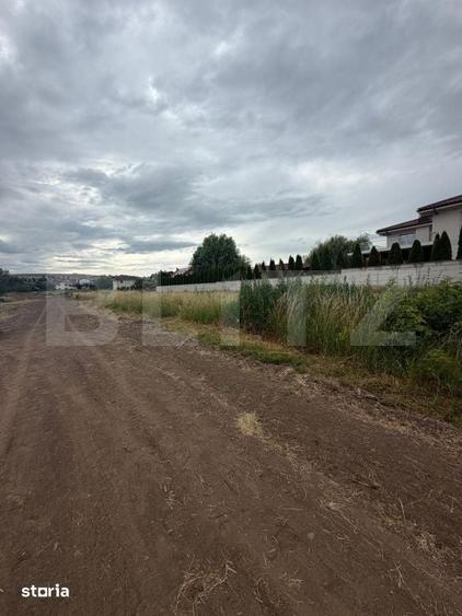 Teren de 6000 mp, în Ipotești