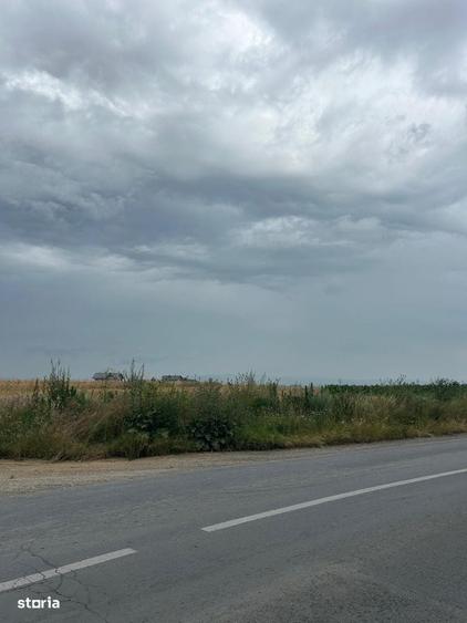 Teren 5.000 mp Tarlungeni, zona Carpinis | Investitie cu potential! - 2