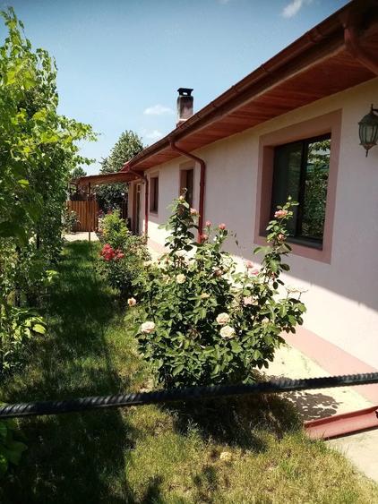 Casă cu Teren 1388 Mp în Dragalina