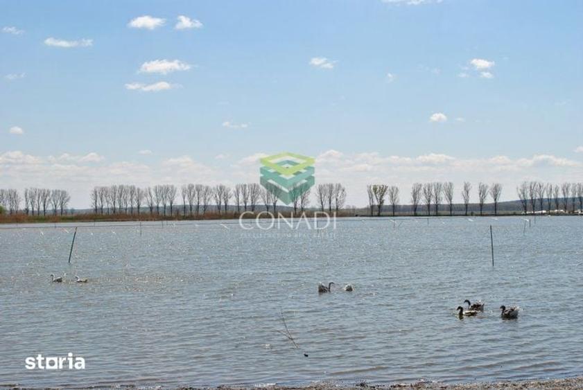 Teren de 2270000 mp, în Ciocănești