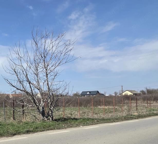 Teren de 1500 mp, în Uliuc