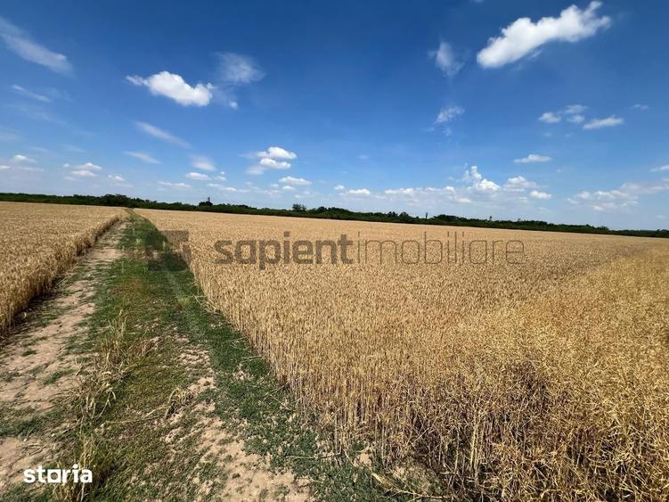 Teren de 70235 mp, în Nojorid