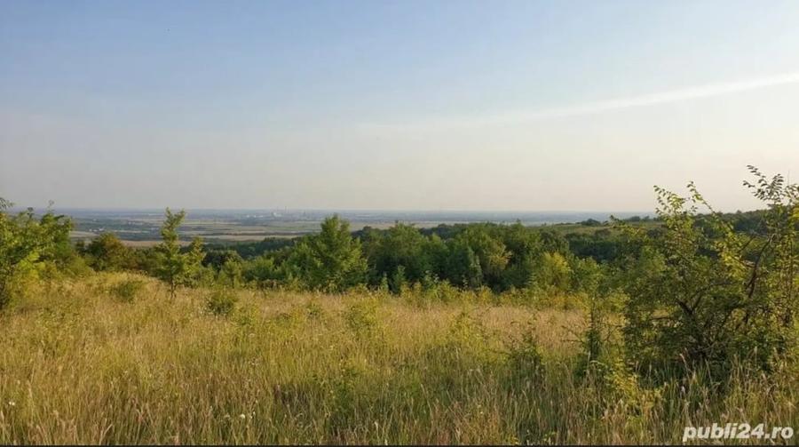 Teren de 60000 mp, în Plopu
