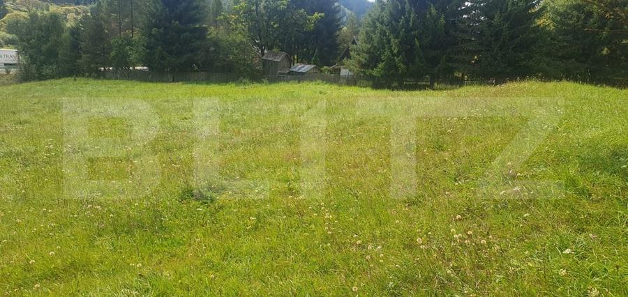 Teren Construcții intravilan de 7362 mp, în Vatra Dornei