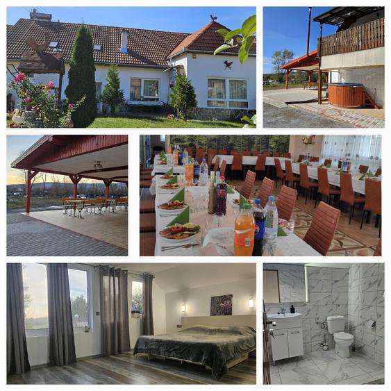 Hotel/Pensiune, de 15 mp, în Bereni
