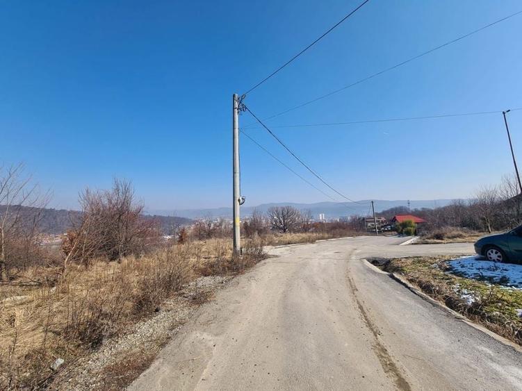 Teren de 9100 mp, în Petrișor
