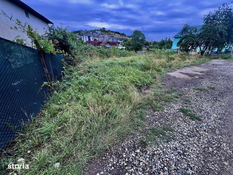10 Ari intravilan strada Cameliei zona Leoni Tarpiului ! - 4