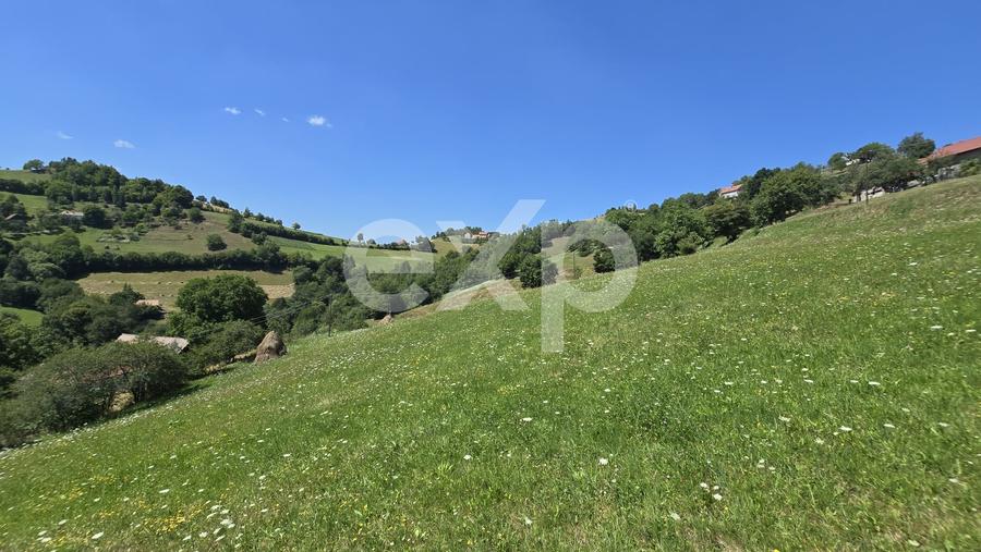 Teren agricol extravilan de 3757 mp, în Poiana Mărului
