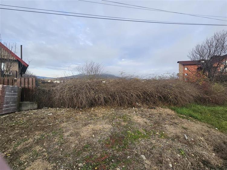 Teren Construcții intravilan de 10698 mp, în Central
