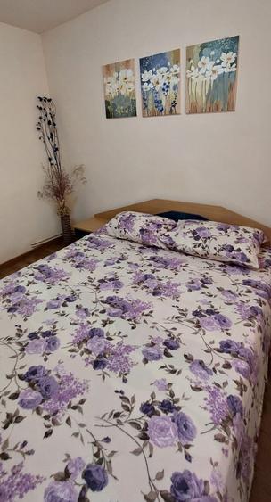 Apartament cu 2 camere decomandat în Dosu Bricii