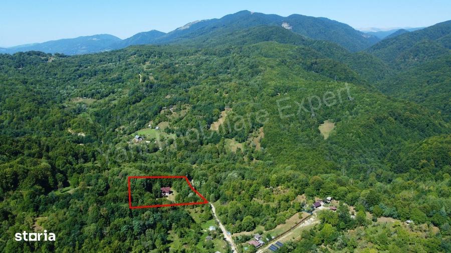Casă cu 4 camere cu Teren 6842 Mp în Brădetu