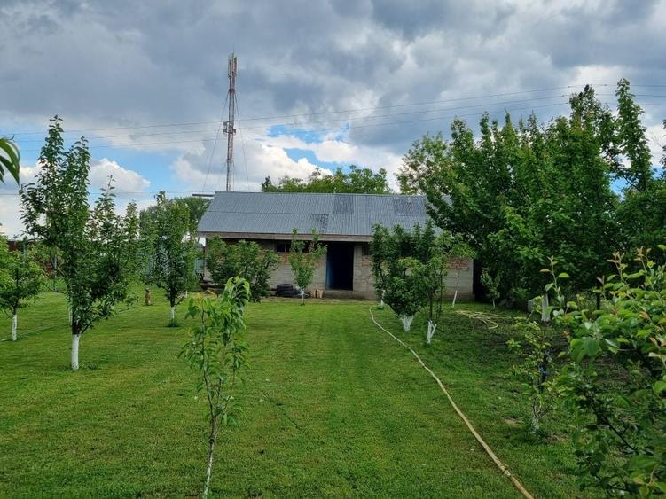 Casă cu 4 camere în Plopu