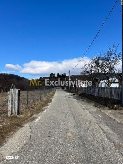 Teren Cicanesti Arges, la 10 KM de Transfagarasan - Comision 0% - 1