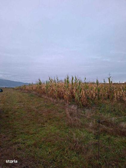 Teren de 3900 mp, în Central