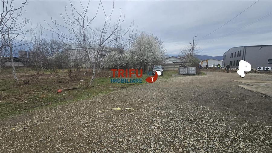 Teren Construcții intravilan de 5500 mp, în Ampoi 1