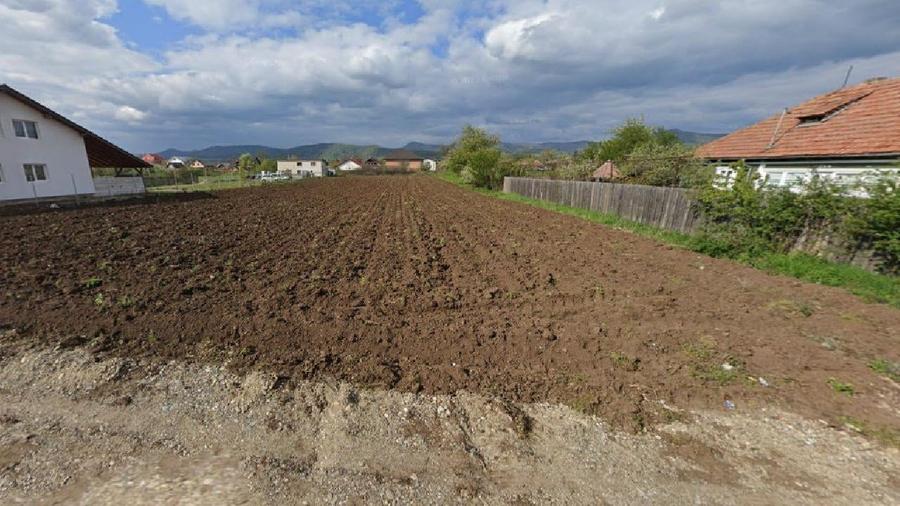 Teren agricol intravilan de 2500 mp, în Dumbrava Roșie