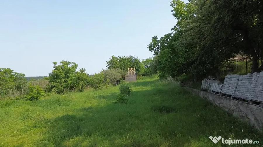 Teren de 4863 mp, în Adâncata