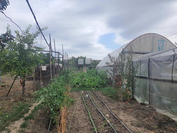Casă cu Teren 3000 Mp în Biled