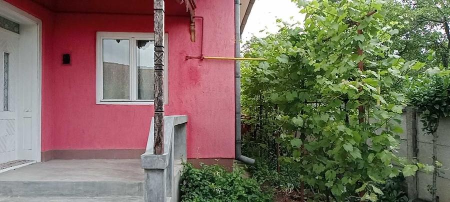 Casa de vanzare - zona rurala linistita - 4